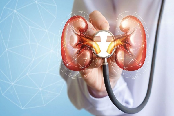 ayurvedic kidney treatment